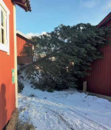 Går inte ens att larma 112 Det är väl just de abonnenterna som behöver bra mobiltäckning då det sällan finns alternativa mobilmaster i närheten och backupen i bästa fall är några timmar, ofta kortare