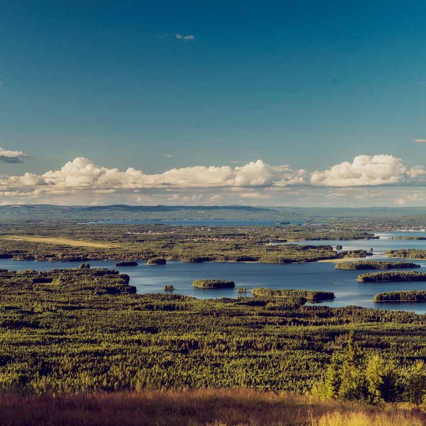 Svensk turism har en mycket positiv utveckling, branschen omsätter nära 300 miljarder kronor och syssel sätter 170 000 personer.