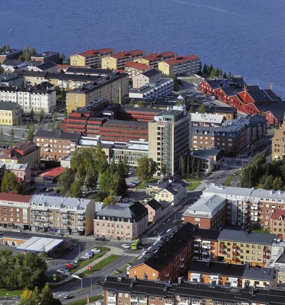 Ledande nordlig region imorgon det här vill vi och så här ska vi göra Det övergripande målet för program E - Ledande nordlig region är att skapa förutsättningar för en bred och växande arbetsmarknad.