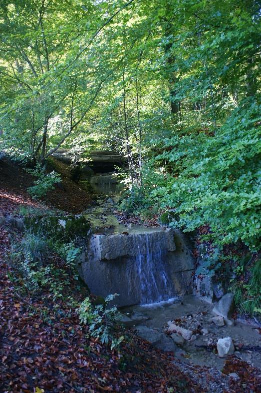 naturmark rekommenderas dämmen,