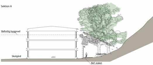 2.2 Parkväg Den gång- och cykelväg som planeras i randen av Solbergaskogen ska vara 3 m bred, asfalterad och belyst.
