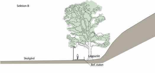 Intill gångvägen föreslås en ytlig ränna/lågpunkt som tar emot regnvatten från bergslänten i nordost. Gång- och cykelvägen bör placeras så långt ut från skogsbrynet som möjligt.