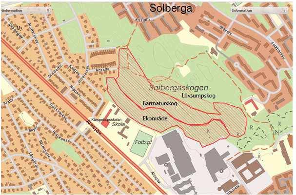 I södra delen av Solbergaskogen finns en nyckelbiotop med stort inslag av ek som direkt ansluter till Kämpetorpsskolan, se figur 9.