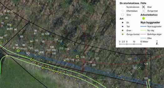 4.8 Område G Figur 21, område F Område G består av ett ekområde ovanför ett dike.