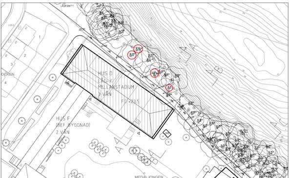 VIÖS AB Vegetation & Infrastruktur Örjan Stål AB Skydd av träd vid ombyggnation av Kämpetorpsskolan Bakgrund Skrivandes var på syn tillsammans med Eva Pestmalis Ramböll 2015-03-25 vid område för