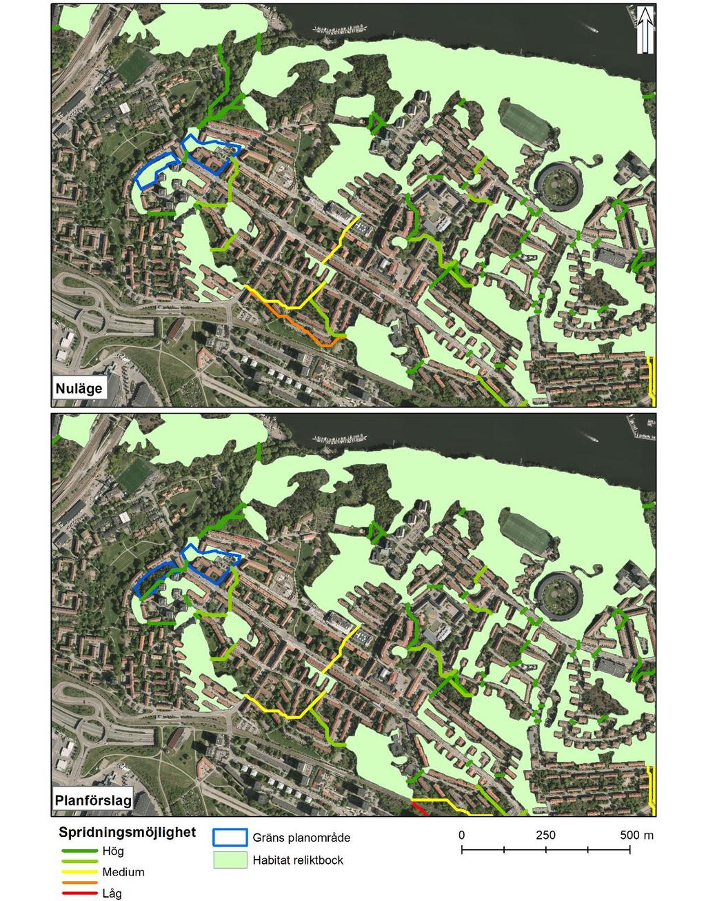 Figur 5. Spridningsvägar mellan habitatytor för reliktbock I anslutning till planområdena. Planområdet bedöms inte påverka spridningsmöjligheten för reliktbock (kartdata: Stockholms stad 5 ).