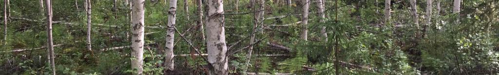 Säljaren svarar inte för ytterligare uppmarkering