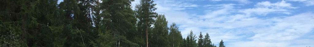 Besiktning och undersökningsplikt Köparen har enligt jordabalken ett långtgående ansvar att själv undersöka fastigheten och förvissa sig om dess skick, gränser och areal före köpet.