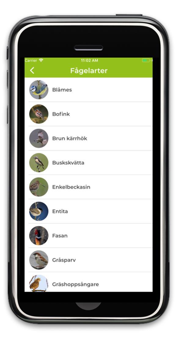 LärKvitter Kostnadsfri 46