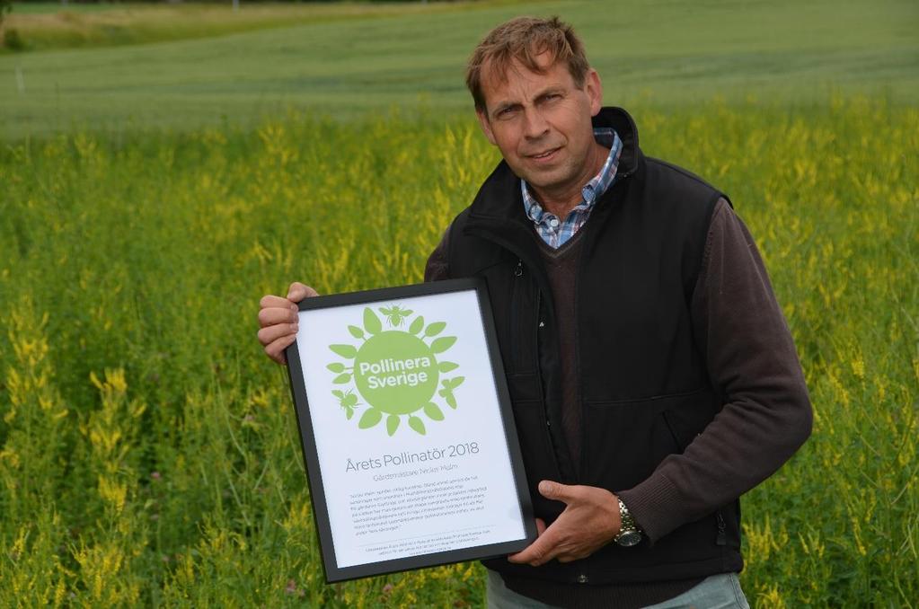 Niclas Malm är bonden som visar andra bönder hur man kan kombinera rationellt storskaligt lantbruk med rik biologisk