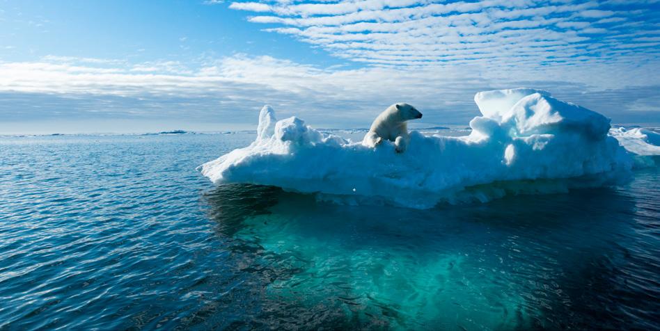 KLIMATET FÖRÄNDRAS SNABBARE ÄN NÅGONSIN DEN GLOBALA medeltemperaturen har ökat drastiskt 17 av de 18 varmaste åren genom tiderna har alla inträffat efter år 2001.