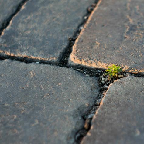 LEED LEED är världens mest spridda miljöcertifieringssystem för hållbara byggnader. The LEED Green Building Rating Sy