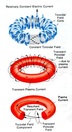 Fusion Tokamak Toroidal'naya kamera v magnitnykh katushkakh toroidformad kammare med magnetiska spolar.