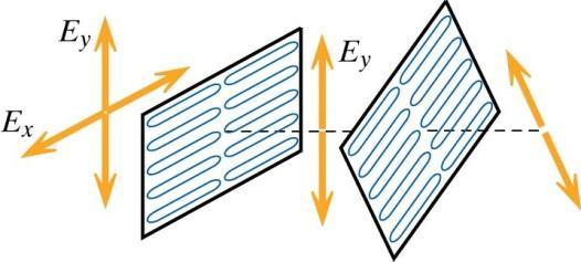 } Ljus som är polariserat i mindre än rät vinkel till en polarisator kommer att passera delvis } Den komponenten av ljuset som är vinkelrät