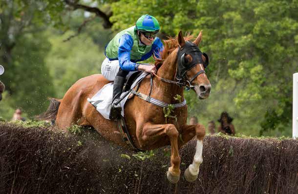 SVENSKT GRAND NATIONAL LÖRDAGEN DEN 15 JUNI PÅ STRÖMSHOLM MAT & DRYCK PÅ BRO PARK IDAG FÖRSOMMARMENY I RESTAURANGEN Vi serverar en lyxig trerättersmiddag med försommarsmaker för 395 kr i restaurangen