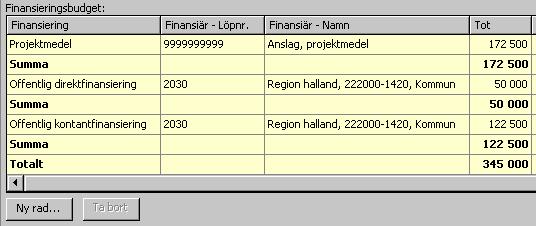 Projektmedel Finansieringsbudget Så här såg