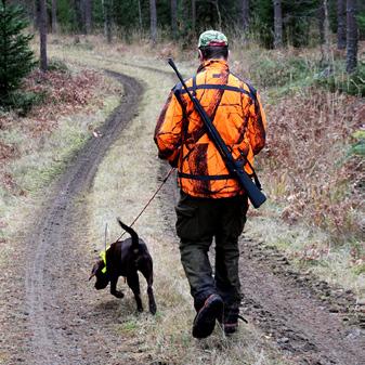 biologiska mångfalden. Detta baseras bland annat på erfarenheter från studier av djur och växter i nationalparker i Nordamerika.