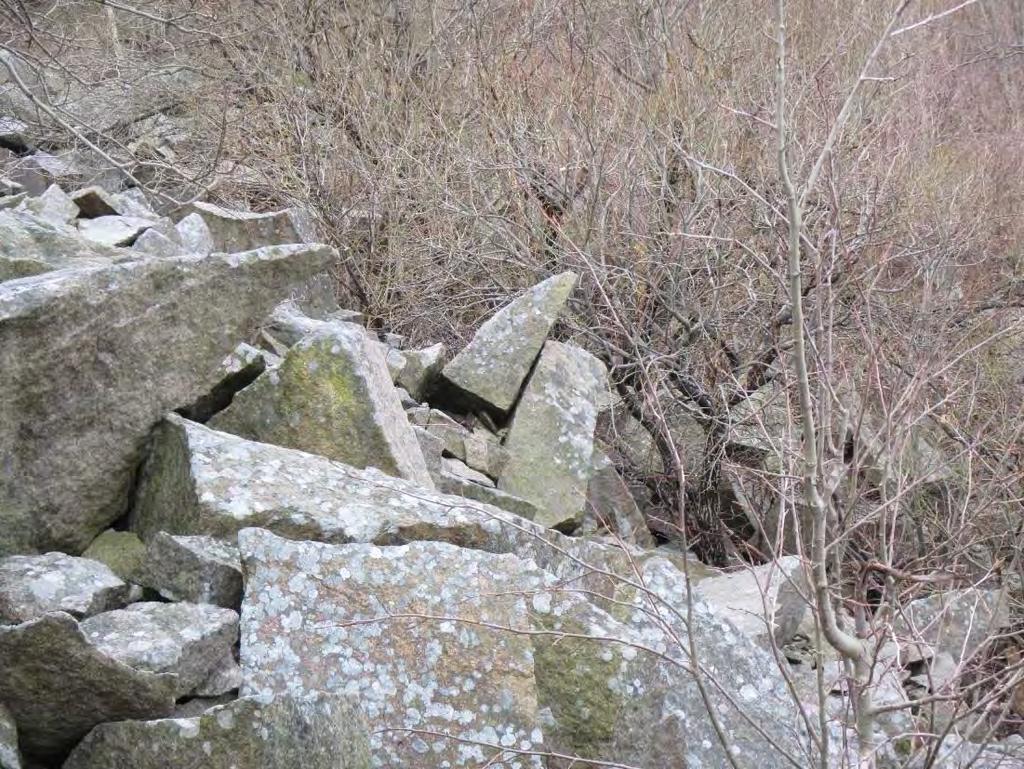 Detaljplan Ellene 1:381 Bergteknisk utredning 3 Foto
