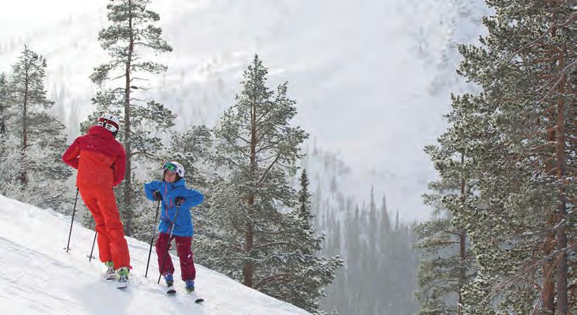 KOM OCH JOBBA MED OSS! Just nu söker vi följande tillsvidaretjänster: ARBETSLEDARE, STUGAVDELNINGEN VEMDALSSKALET Nu söker vi dig som vill leda ett team inom SkiStar Vemdalens Fastighetsavdelning.