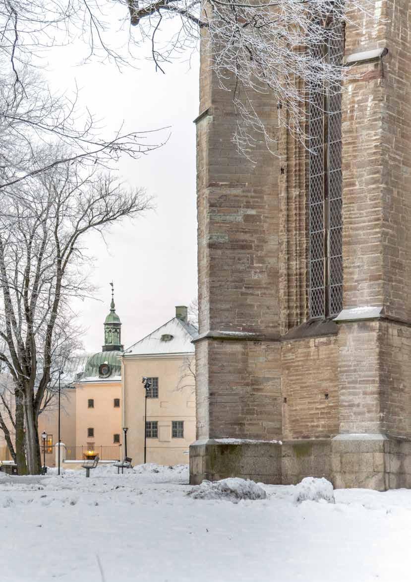 16 2. BAKGRUND Domkyrkan och