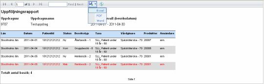 Vald och visad rapport kan exporteras till Excel, PDF eller Word.