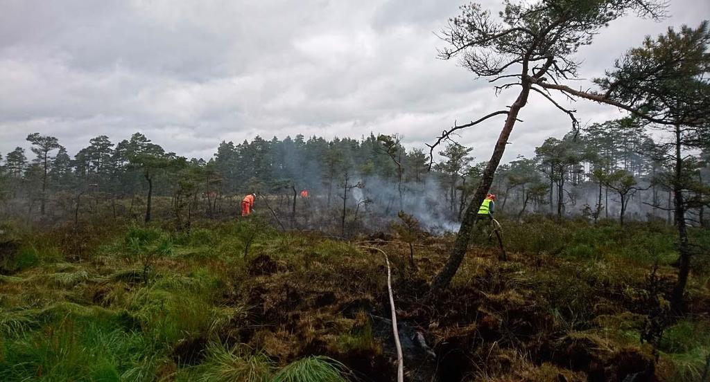 Insatsen pågick till kvällen därpå och LRF skogsbrandvärn bidrog med 40 personer som i skift genomförde ca 500 timmars släckningsarbete på ett drygt dygn.