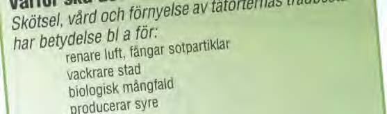 Trädplanen är ett långsiktigt handlingsprogram som säkerställer stadsträdens framtid. Många av stadens träd planterades runt sekelskiftet och börjar nu bli gamla.