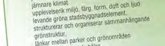På många håll har föryngringsarbetet redan påbörjats. I staden behövs också nyplanteringsinsatser.