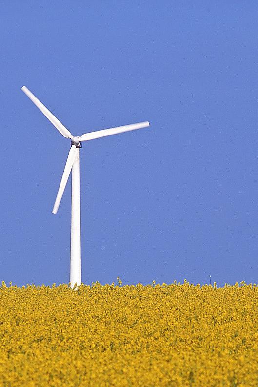 Hushållningsprincipens bakgrund Med tanke på den betydelse sättet att framställa och använda energi har för miljön, inte minst i fråga om inverkan på klimatet.