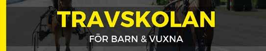 VIBY // 0 M VOLTTART TART 9. VINNARE PLAT Erik Cederqvists Minneslopp Fyraåringslopp (Ingår i Destination Gotlands Fyraåringsserie) åriga lägst 0.00 kr. Körsvenskrav kat.. 0 m. Tillägg 0 m vid vunna.