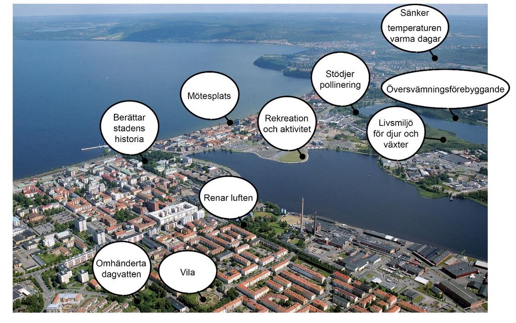 bidrar med ekosystemtjänster till staden. Kartan visar vilka ekosystemtjänster grönska på olika platser i tätorten bidrar med.