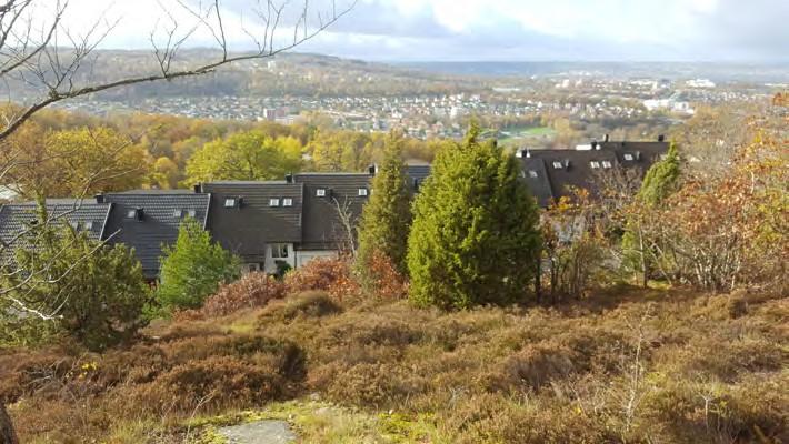 Gröna områden kan dela upp bebyggelsen i mer lättfattliga delar.