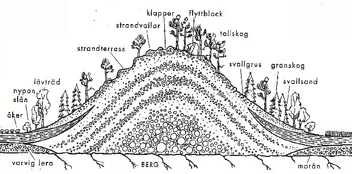 Några synliga rester av istiden på Låssahalvön - Vid Djupdal (norra ändan av Låssa-halvön) finns en s.k.