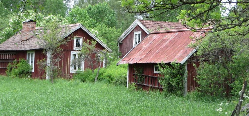 gårdsmiljön.