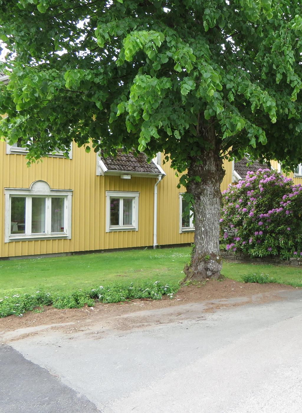 Långasjö socken, 2014-10, rev