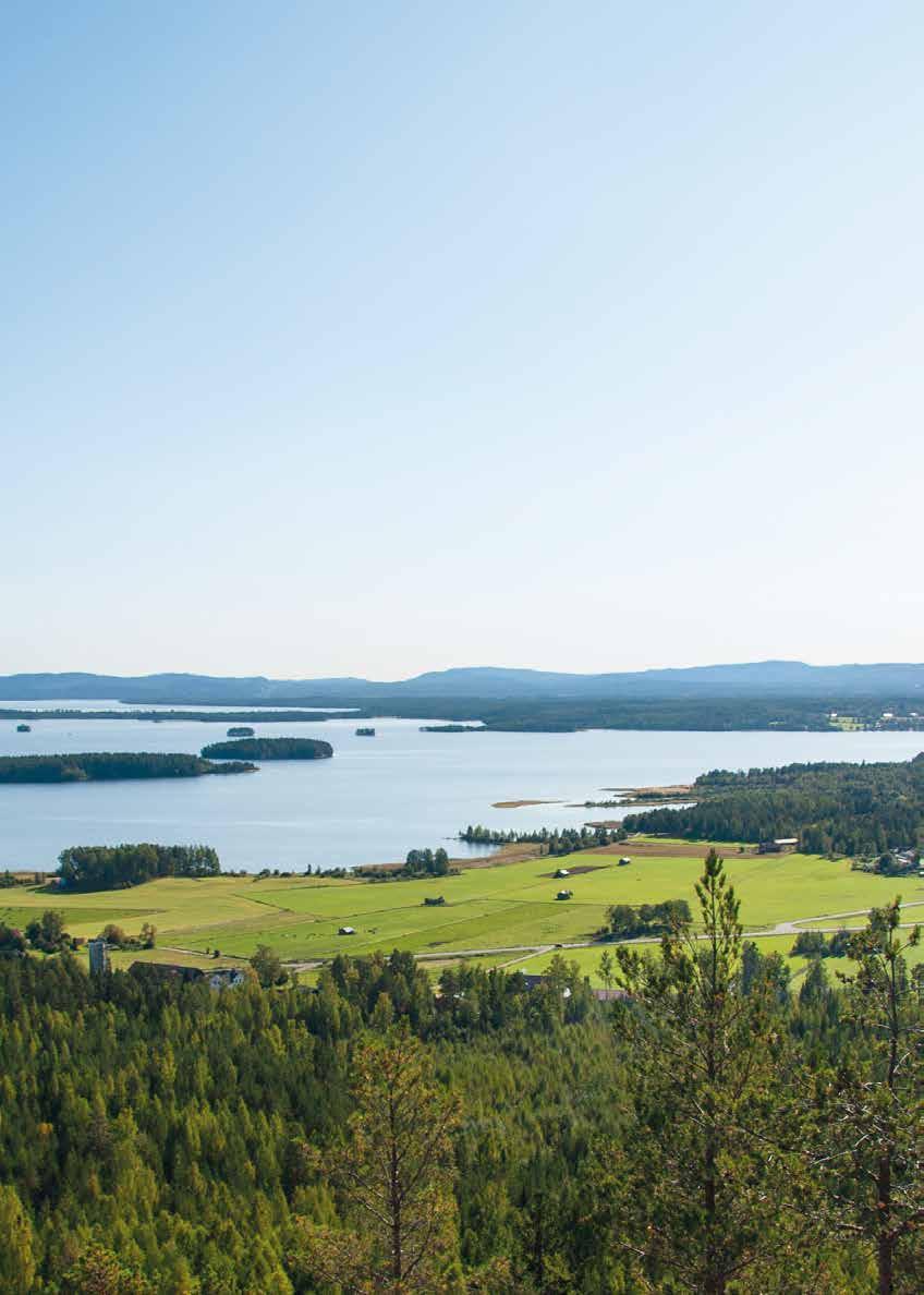 Bjuråkers Forngård Stämmoveckan 15-21 juli I vacker hälsingegårdsmiljö kan du uppleva Bjuråkersstämman för 63:e året.