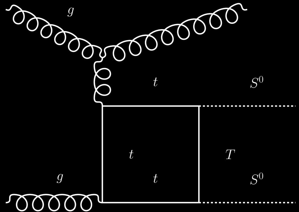 Figure 3: Generic Feynman diagrams for the S 0 T -model. These diagrams are generic as different topologies can be obtained for the box and the loop.