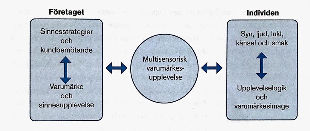 Figur 7 Sinnesmarknadsföring en modell återgiven av Hultén, Broweus & Van Dijk (2011:154