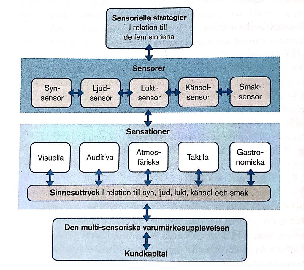 uppfattning om det. Det ska tilläggas att människan reagerar omedvetet och intuitivt på sensoriska stimuli i jämförelse med inlärda stimuli.