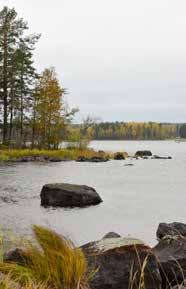 Kyrklig verksamhet finns inom ramen för Equmeniakyrkan och Skogs kyrka. Inom idrotten finns många föreningar spridda över området.