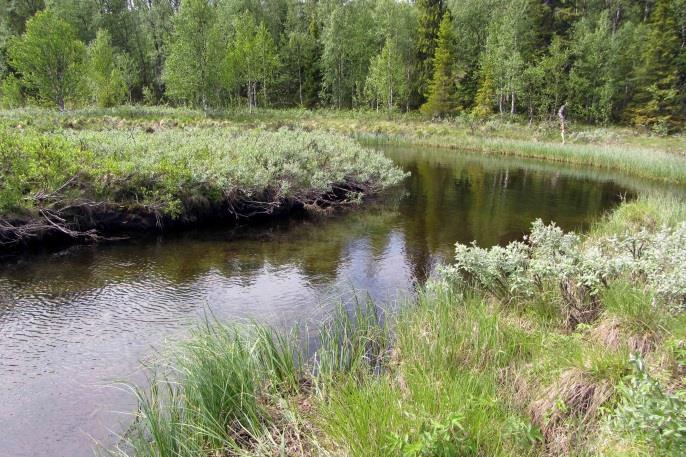 Botten bestod huvudsakligen av sand och det