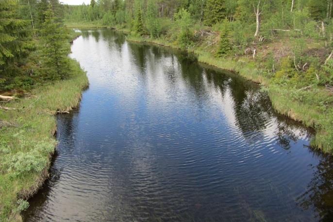 Bäcken var bitvis även hårt kanaliserad och rätad och bedömdes vara i behov av flottledsåterställning samt tillförsel av död ved för att framförallt återskapa ståndsplatser och skydd för fisken i