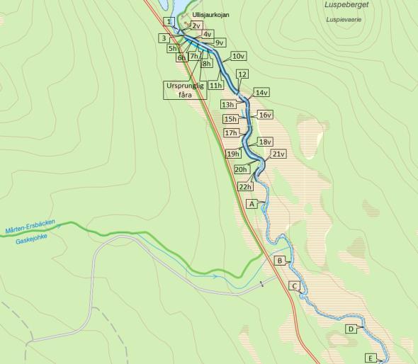 I lokalen har även större mängder elritsa fångats i höga till mycket höga tätheter. Under dammen noterades harrar i samband med flottledsinventeringen 2016.