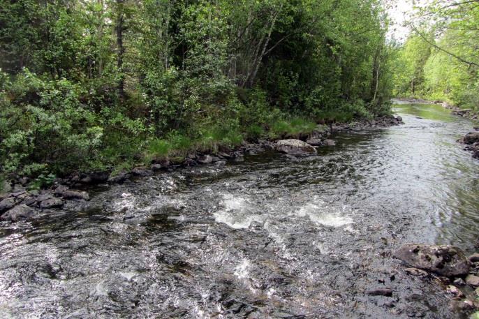 Längs den motsatta stranden från den nedre delen av objekt 18v påträffades en stenkista i ytterkurvan längs den högra