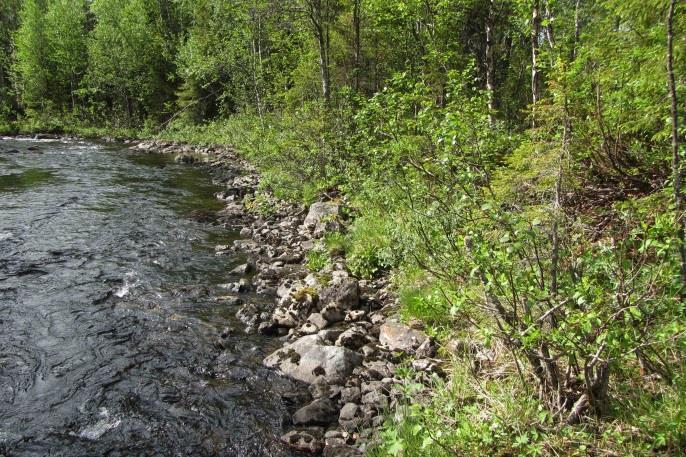 De strandnära delarna av stenkistan 19.