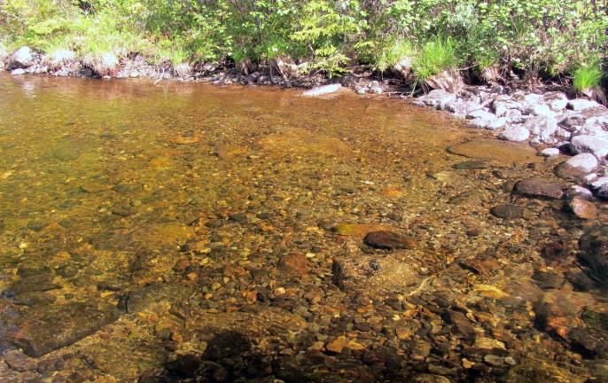 I början av kurvan fanns en mindre nacke med god tillgång till naturligt lekgrus för öring (figur 40) innan