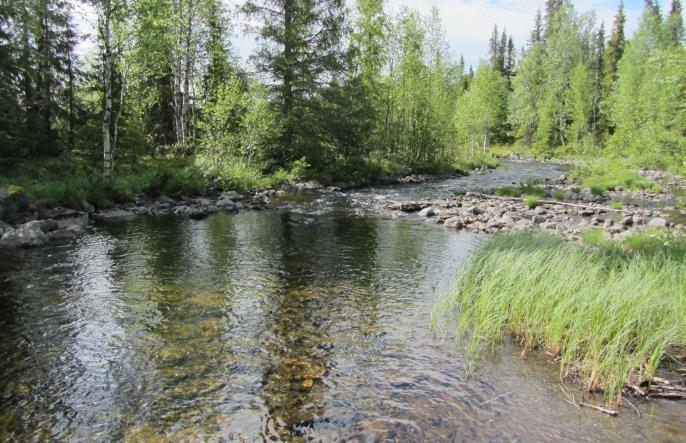 Utrivningen var dock inte tillräcklig vid lågvatten i bäcken för att området bakom resterna skulle kunna