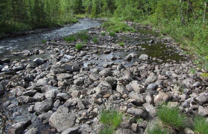 m. eftersom vattnet i princip var stillastående och eventuella fiskar riskerade att bli instänga. Figur 39.