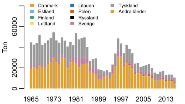 Överfiske Enligt Limén och Sjöstrands rapport är ett av de största problemen kopplade till konsumtion av torsk överfisket av torsk (Limén & Sjöstrand, 2009).