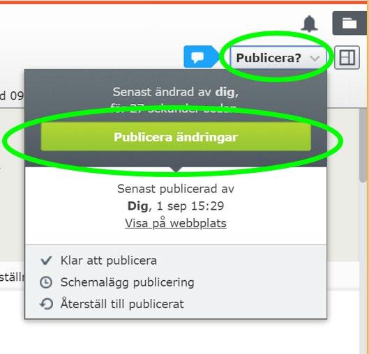 Tips! Det finns möjlighet att förhandsgranska sidan innan du publicerar den. Du hittar ikonen för förhandsgranskning överst på sidan.